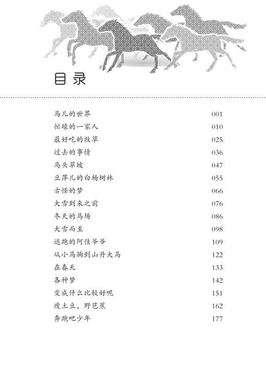 马儿在山丹  展现西部大地的新生脉动，草原的晨雾升腾在文字间 商品图2