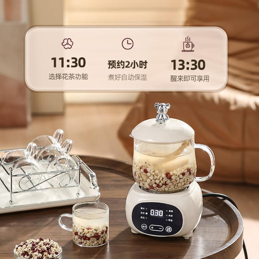 【轻饮私养壶，滋润美一刻】多功能养生杯家用养生壶 办公室迷你煮茶壶 花茶送礼养生壶套装-QQ 商品图2