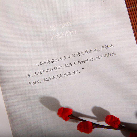 禅者的初心全二册---在喧嚣中觉醒，回归生命的澄明 商品图2