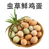 贵州农特产品鸡蛋30枚/盒虫草鲜鸡蛋 商品缩略图1