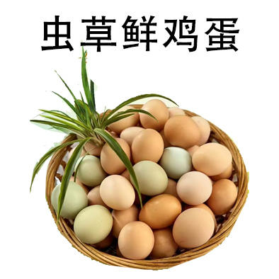 贵州农特产品鸡蛋30枚/盒虫草鲜鸡蛋 商品图1