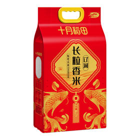 十月稻田 东北大米 辽河长粒香5kg 圆润饱满 色泽透亮