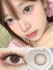 【中直径半年抛】LOVEIIKIRA-起司可可 巧-14.2mm【半年抛 0-1000度 含有525/575】 商品缩略图0