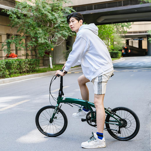 燕鸥tern Verge N8折叠自行车超轻便携可放后备箱星河灰8速20英寸 商品图3