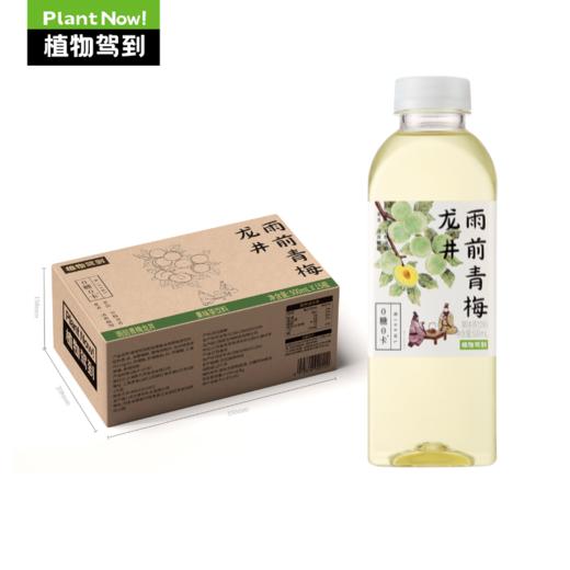 中国植物驾到雨前青梅龙井果味茶饮料500ml 商品图1