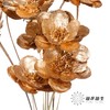 永生花 | 银珍花金色 商品缩略图0