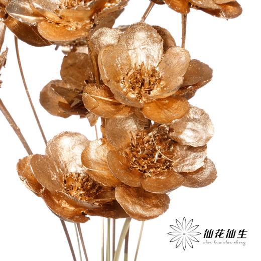 永生花 | 银珍花金色 商品图0