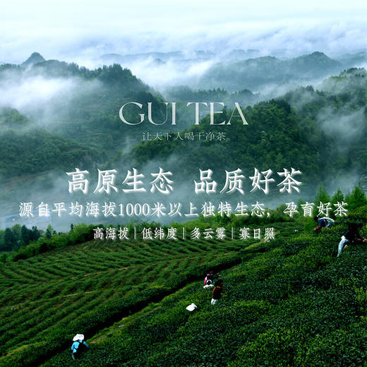 贵茶2025年春茶新茶绿宝石中国梦礼盒198g贵州绿茶端午父亲节送长辈 礼盒装 198g*1盒 【中国梦礼盒】 商品图4