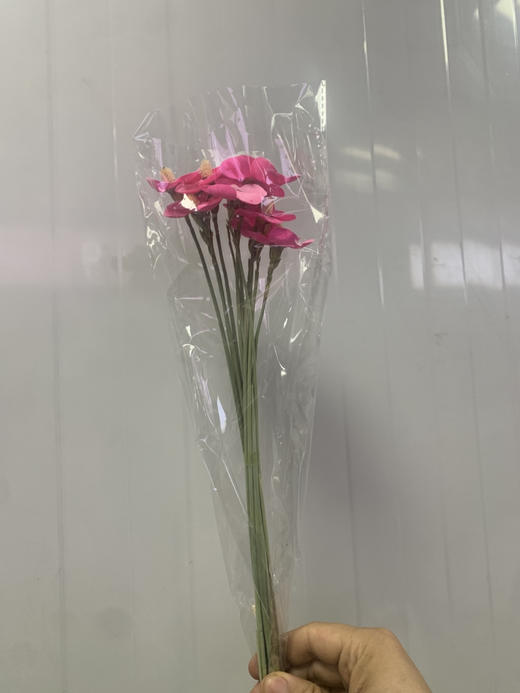 粉色干花紫罗兰 商品图1