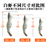 顺丰直发！【原箱进口】桑塔厄瓜多尔南美白虾（30-40规格）净重3.3斤/盒 商品缩略图5