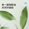 【Greennose绿鼻子】精油香薰手环 商品缩略图2