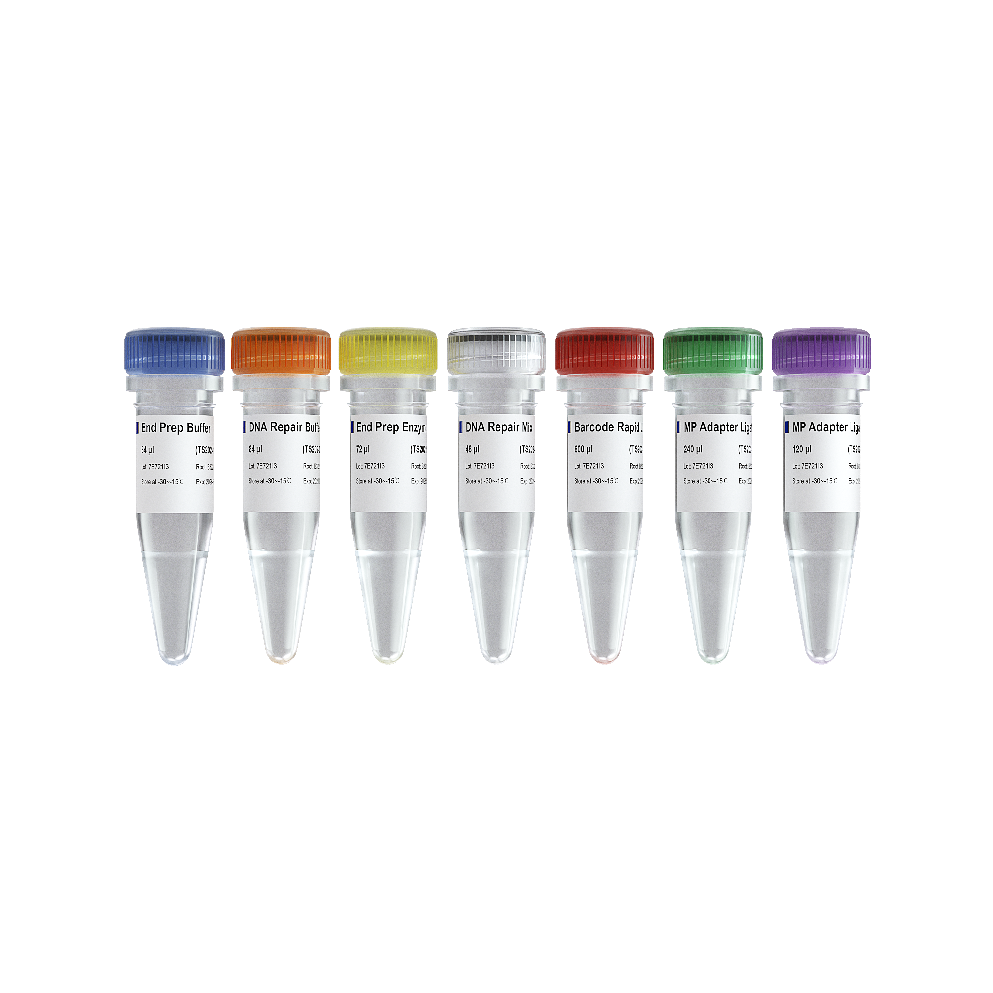 VAHTS TGS DNA Library Prep Kit for ONT V2