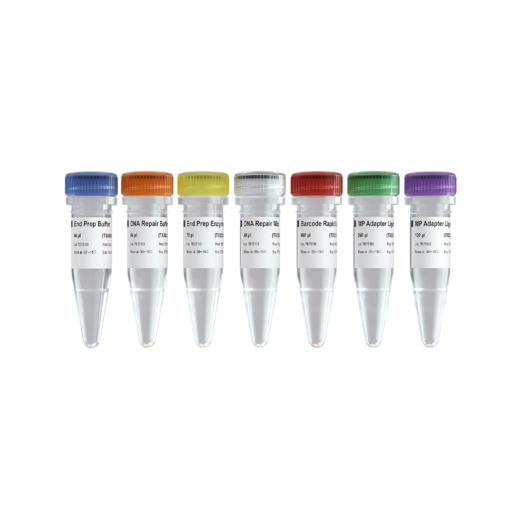 VAHTS TGS DNA Library Prep Kit for ONT V2 商品图0