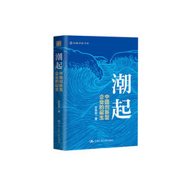 《潮起：中国创新型企业的诞生》