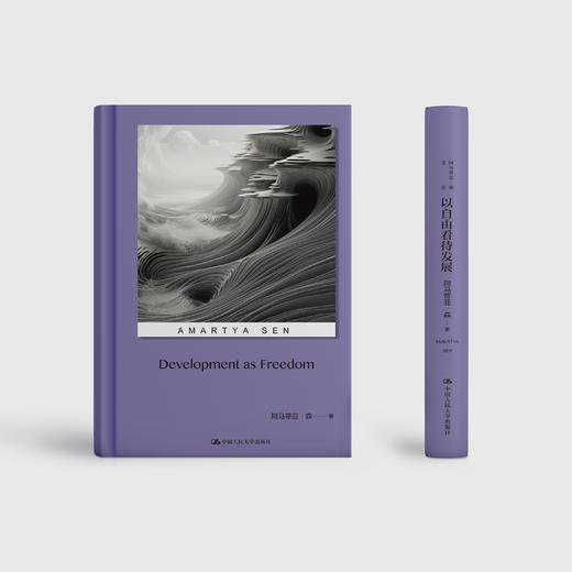 《以自由看待发展》 商品图1