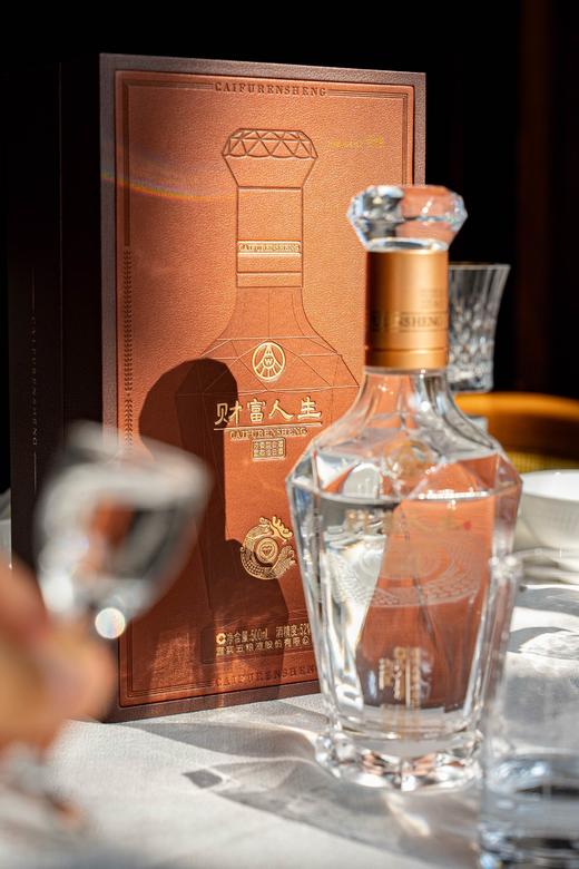 五粮液股份出品【财富人生·贵宾】  百年古窖酿造  固态纯粮发酵  52%vol 优级浓香 商品图9