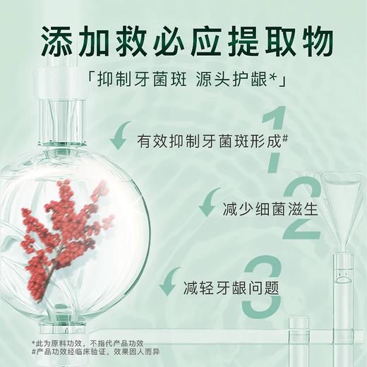 舒客 红花本草清火护龈牙膏120g/支 商品图3