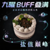 九曜buff叠满 商品缩略图7