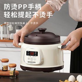 【智能电炖锅，炖出营养好味道】多功能家用电炖锅紫砂锅 租房锅电炖锅煮粥煲汤 宿舍砂锅大容量-QQ