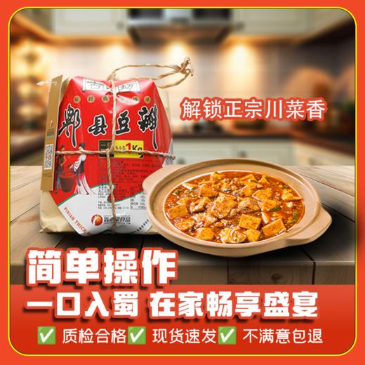一级豆瓣（1kg） 商品图1