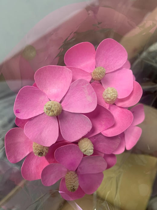 粉色干花紫罗兰 商品图2