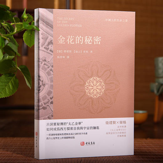 太乙金华宗旨易解 金花的秘密 商品图1