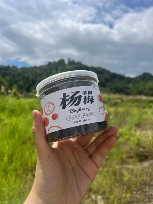 【杨梅干】生态东魁杨梅丨传统工艺丨三蒸三晒（烘）丨非腌制丨鲜果本味丨酸甜肉厚丨 商品图2