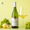 企鹅市集|南非沙拉之河 长相思干白葡萄酒2024 绝佳口粮白 爆汁青柠香 商品缩略图1