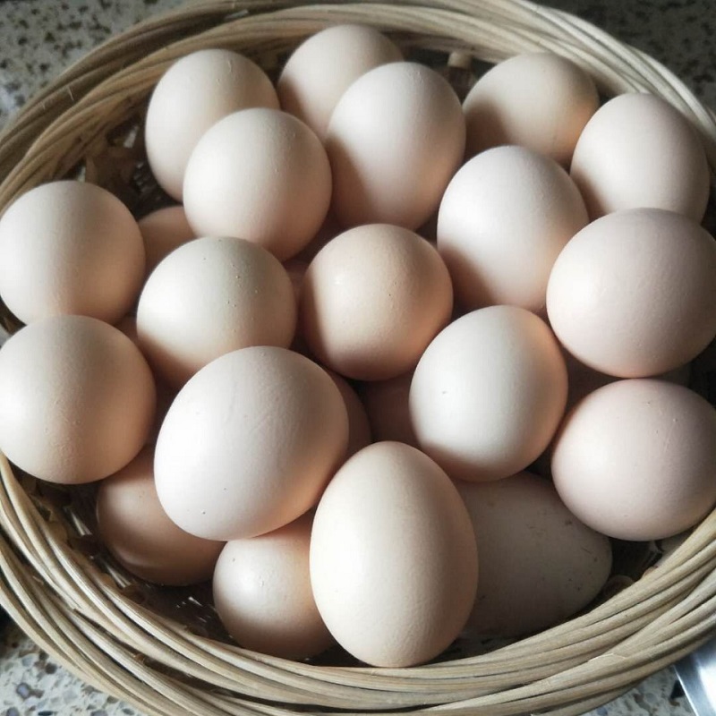 【每周一发货】【竹林散养土鸡蛋30枚】竹林散养刨刨鸡 蛋清浓稠 蛋黄密度结实 个头均匀