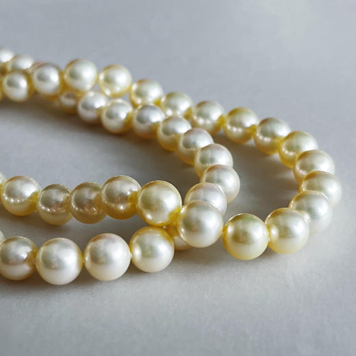 CLASSIC系列 天然香槟金色AKOYA珍珠 项链 商品图2
