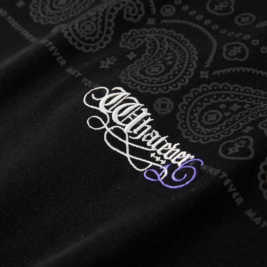 NPC潮牌短袖常规圆领户外日常上衣情侣简欧风T恤夏季印花NP56TE76 商品图2