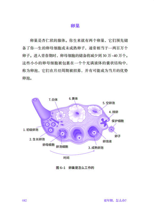 《更年期，怎么办？》 商品图3