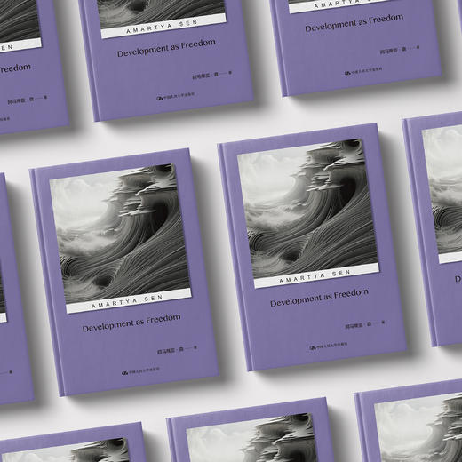 《以自由看待发展》 商品图2