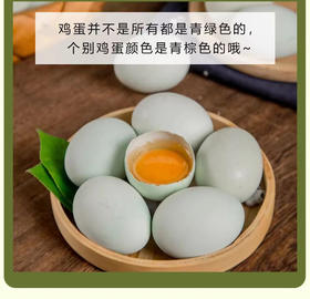 贵州农特产品长顺绿壳蛋鲜鸡蛋30枚/盒