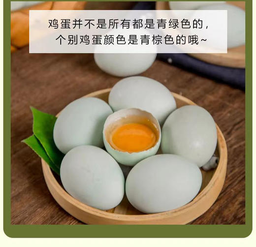贵州农特产品长顺绿壳蛋鲜鸡蛋30枚/盒 商品图0