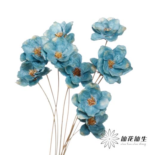 永生花 | 银珍花蓝 商品图1