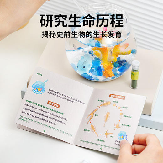 TOI图益Craftoi系列-虾宝养成记 商品图4