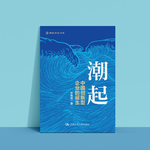 《潮起：中国创新型企业的诞生》 商品图6
