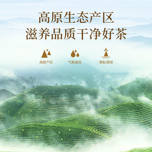 贵茶叶 特级红宝石贵州高山云雾红茶250g 真空压缩红罐铁盒端午送礼 方罐装250g【特级】 商品图7