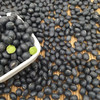 本地青仁黑豆2斤装 商品缩略图0