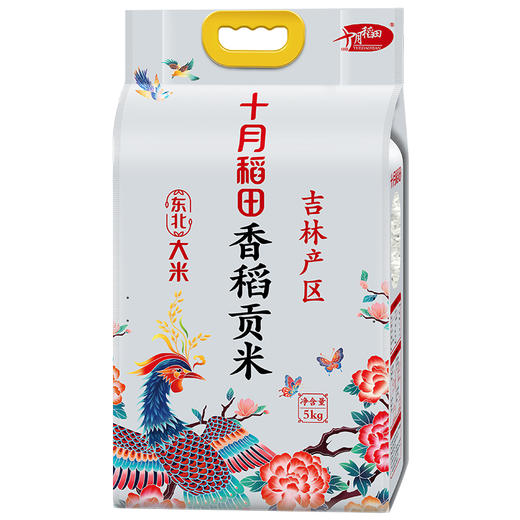 十月稻田 香稻贡米5kg袋装 米香浓郁 粒粒饱满 商品图4