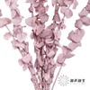 永生花材 | 单支尤加利漂色紫 商品缩略图1