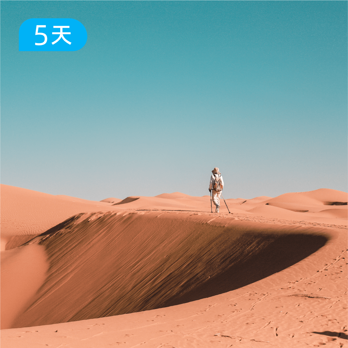 腾格里沙漠｜ 此生必徒 国内十大经典路线之一 五星级后勤保障 摄影师随行 5日