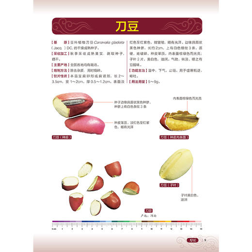 中药饮片高清图鉴中册 果实种子及全草类 刘春生 李飞 王丽霞 中药饮片采收加工炮制方法功能主治 人民卫生出版社9787117358279 商品图4
