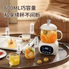 【轻饮私养壶，滋润美一刻】多功能养生杯家用养生壶 办公室迷你煮茶壶 花茶送礼养生壶套装-QQ 商品缩略图1