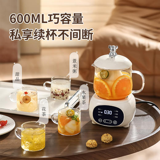 【轻饮私养壶，滋润美一刻】多功能养生杯家用养生壶 办公室迷你煮茶壶 花茶送礼养生壶套装-QQ 商品图1