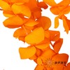 永生花材 | 单支尤加利漂色橙 商品缩略图1