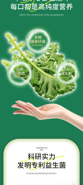 关节咔咔响，弯腰就疼痛？借 “灸” 调养，驱散寒邪，活力重回 20 岁！