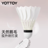 羽毛球耐打官方旗舰店专业训练球防风新款户外练习鹅毛/尼龙 商品缩略图1