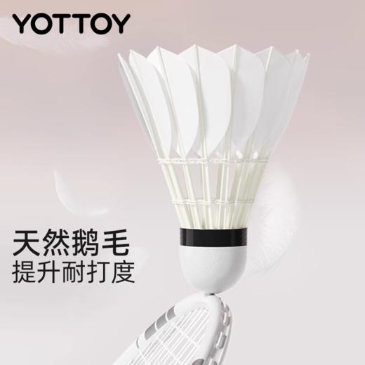 羽毛球耐打官方旗舰店专业训练球防风新款户外练习鹅毛/尼龙 商品图1